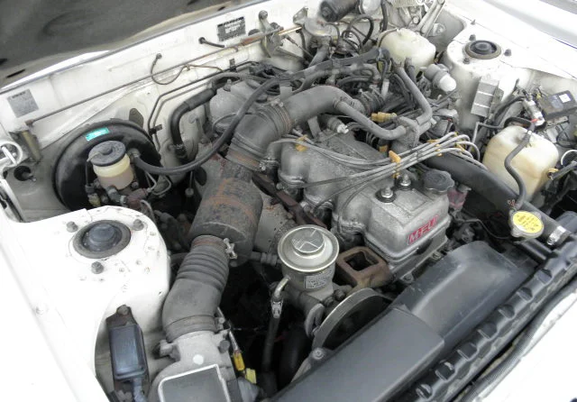 Foto 5