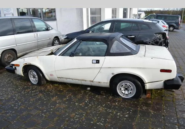Triumph TR7 Cabrio 1981