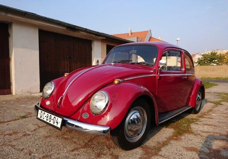 Volkswagen Brouk 11 1964