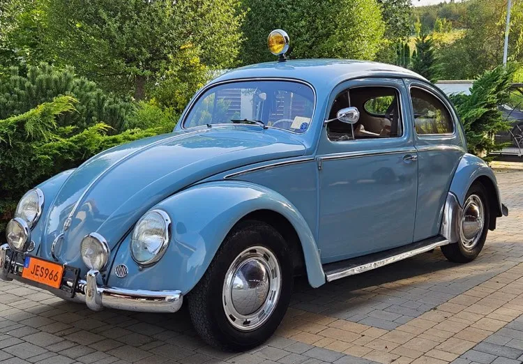 Volkswagen Brouk (5) 1956