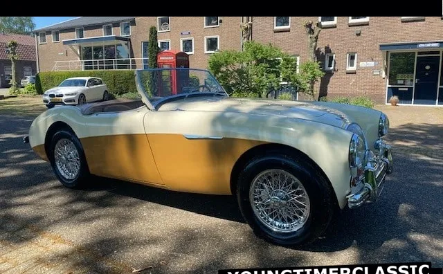 Austin Healey 100/4 1955