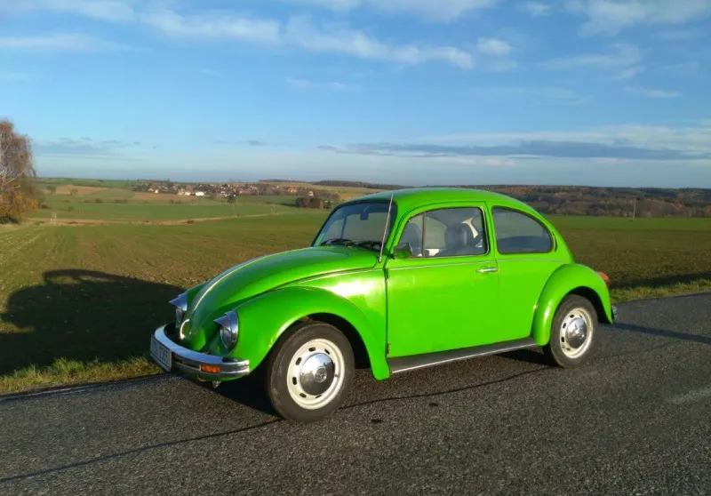 Volkswagen Brouk 1964