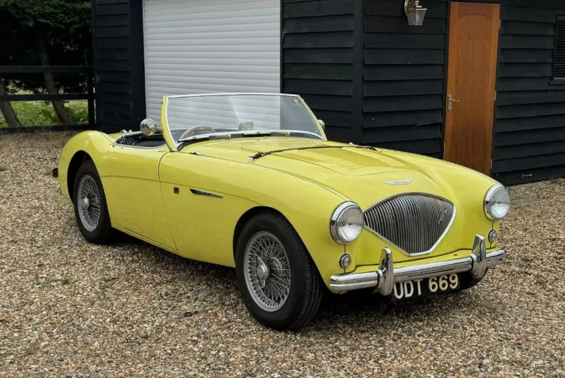 Austin Healey 100/4 (2) 1955