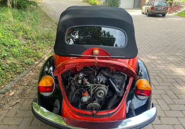Foto 11