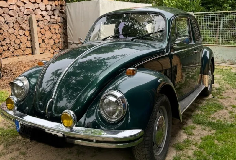 Volkswagen Brouk 1973