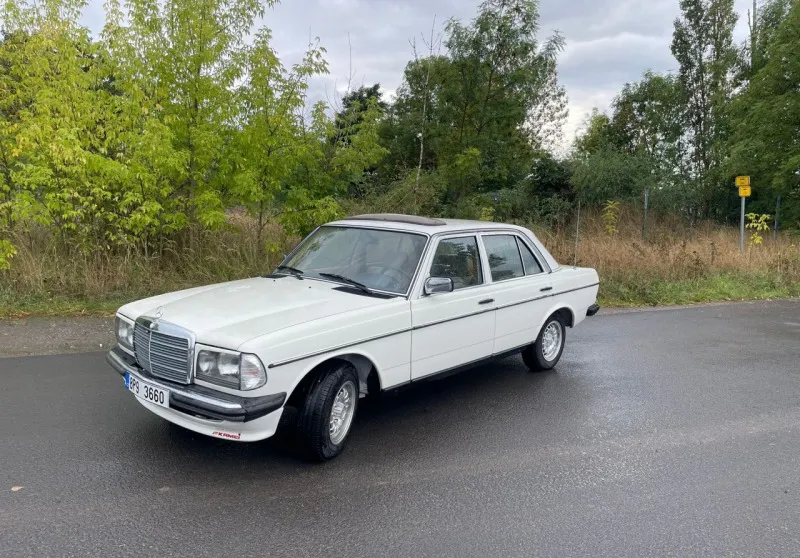 Mercedes-Benz 230 W123 1983