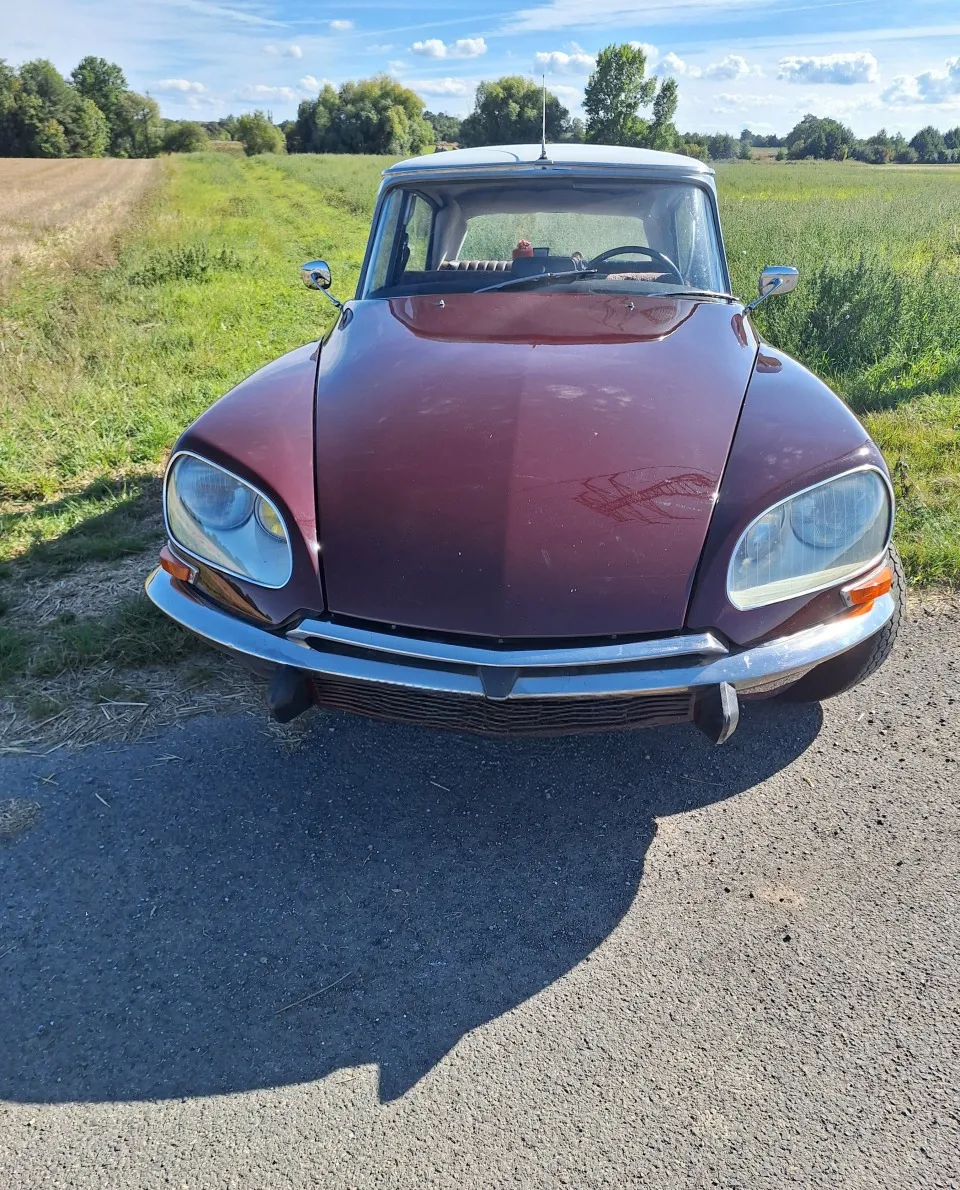 Foto 11