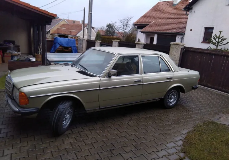 Mercedes-Benz 300 W123 1981