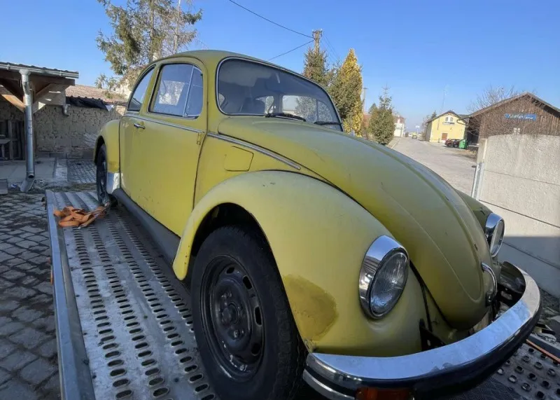 Volkswagen Brouk 11 1979