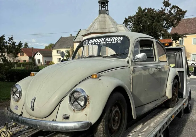 Volkswagen Brouk 1969