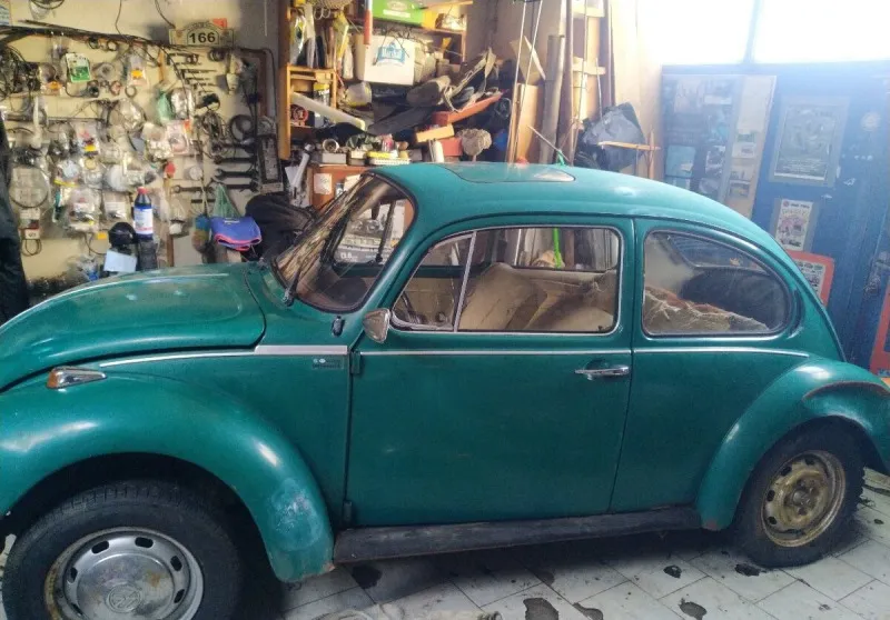 Volkswagen Brouk 1303 1974