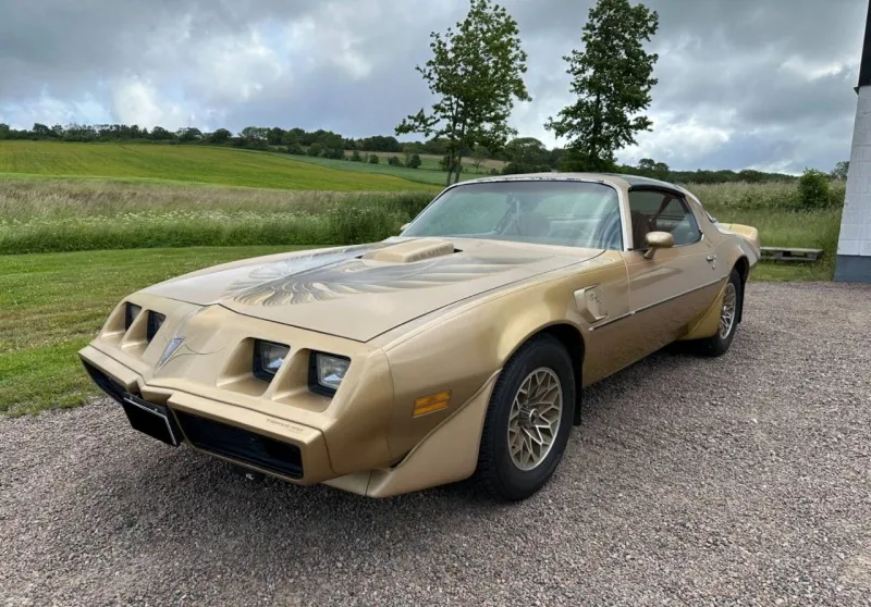 Pontiac Trans Am 6.6 V8 Targa 1979