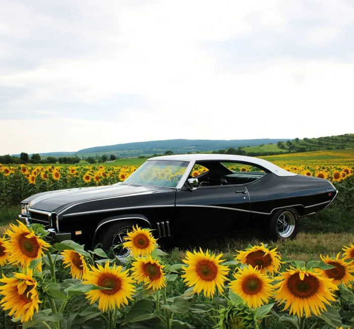 Buick Skylark 1969