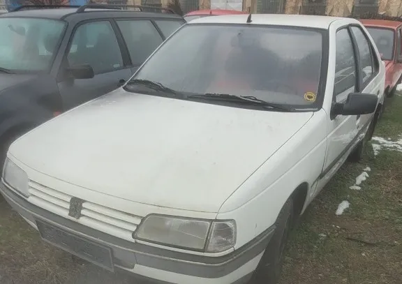 Peugeot 405 1991