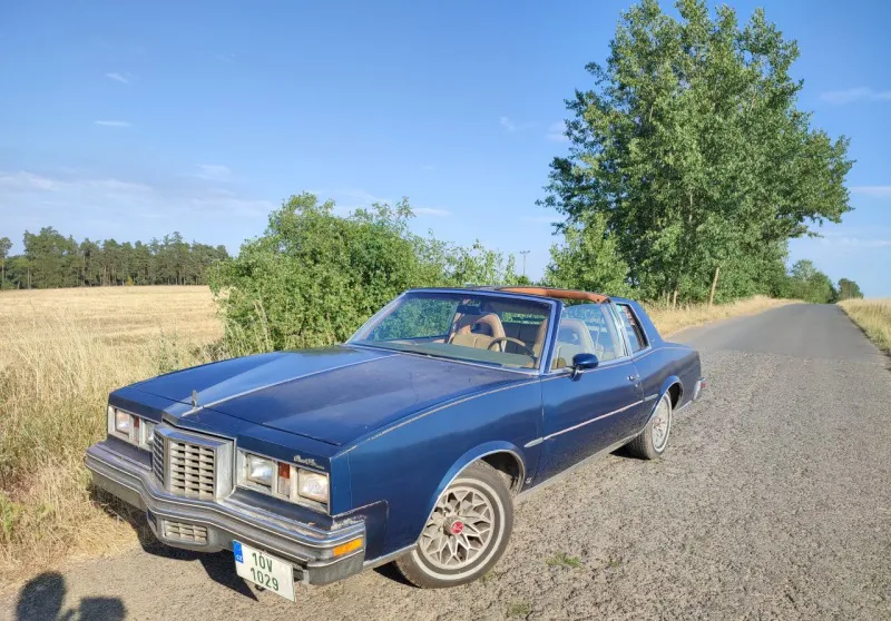 Pontiac Grand Prix Targa LJ 1979