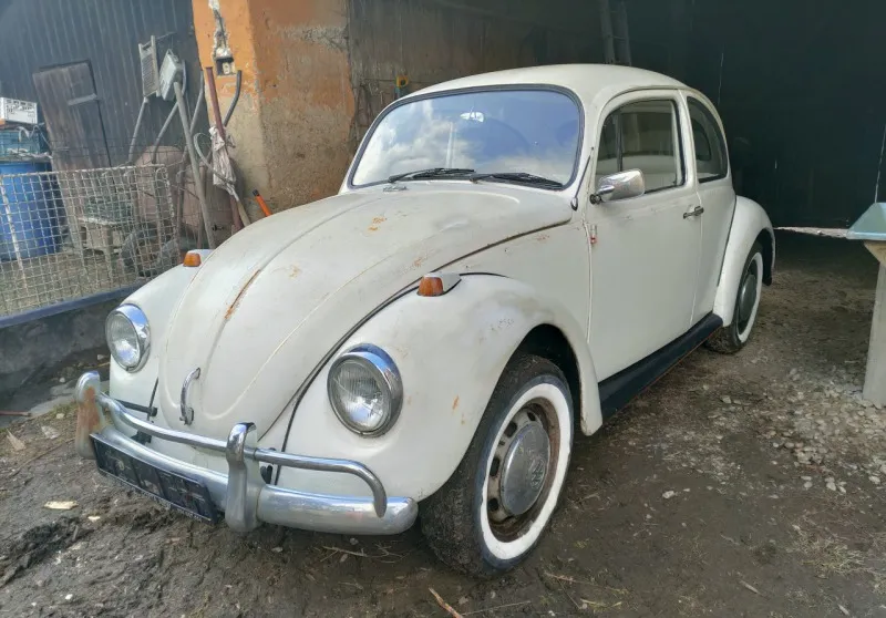 Volkswagen Brouk 1967
