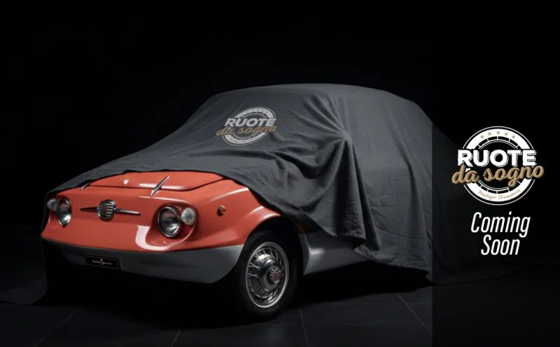 Fiat 500 DECATHLON SIBONA & BASANO 1965