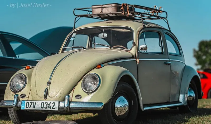 Volkswagen Brouk 1960