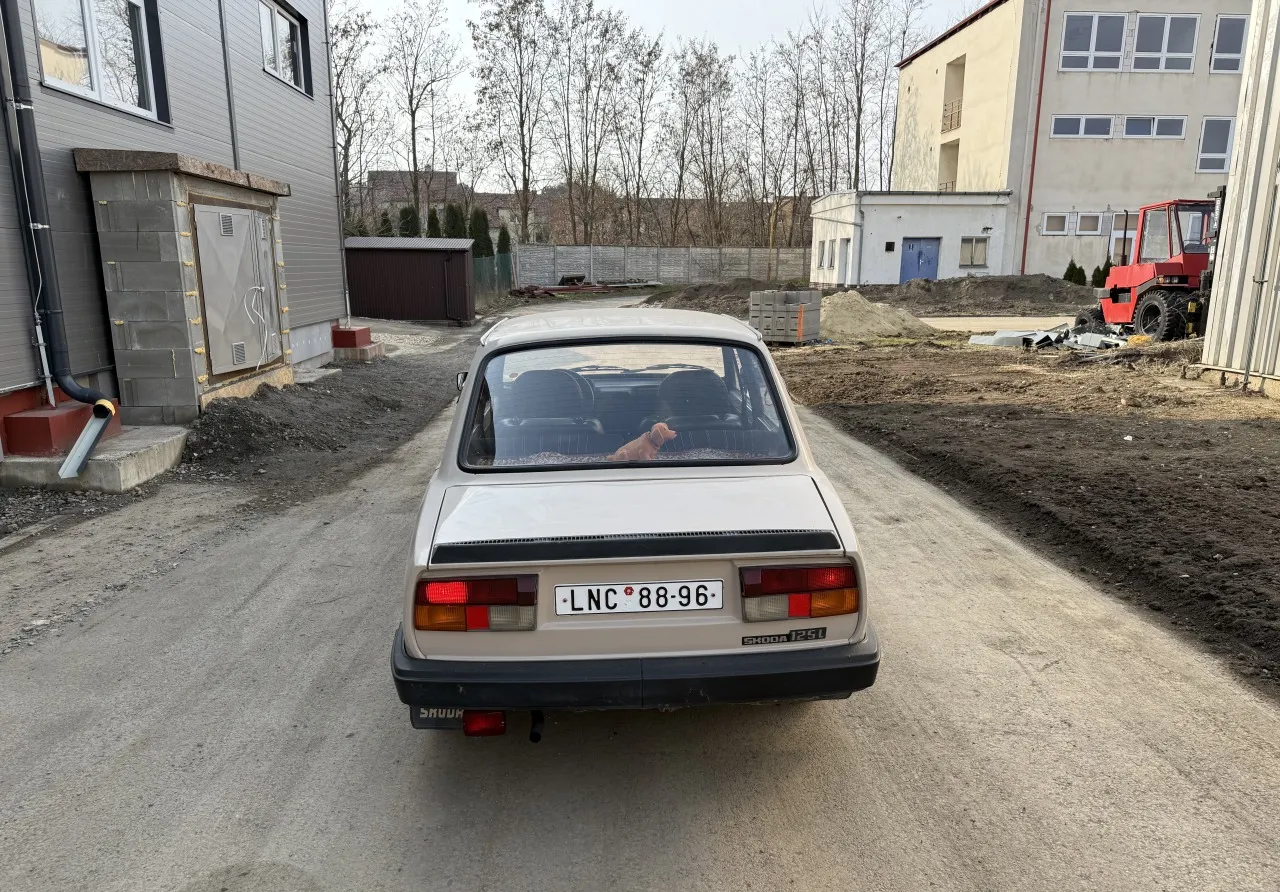 Foto 7
