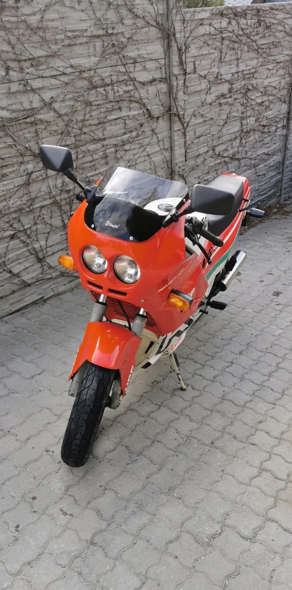 Foto 5