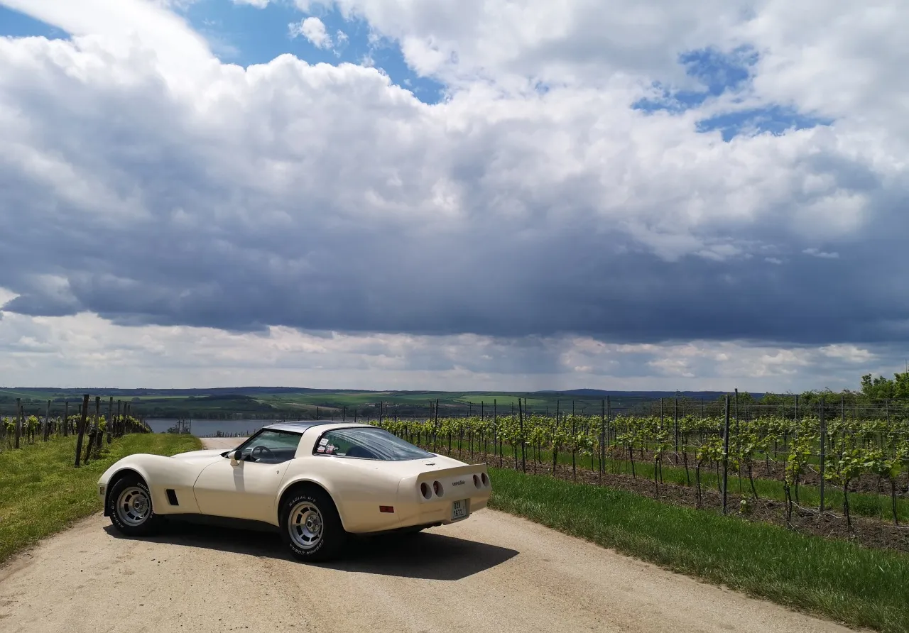 Chevrolet Corvette C3 1981