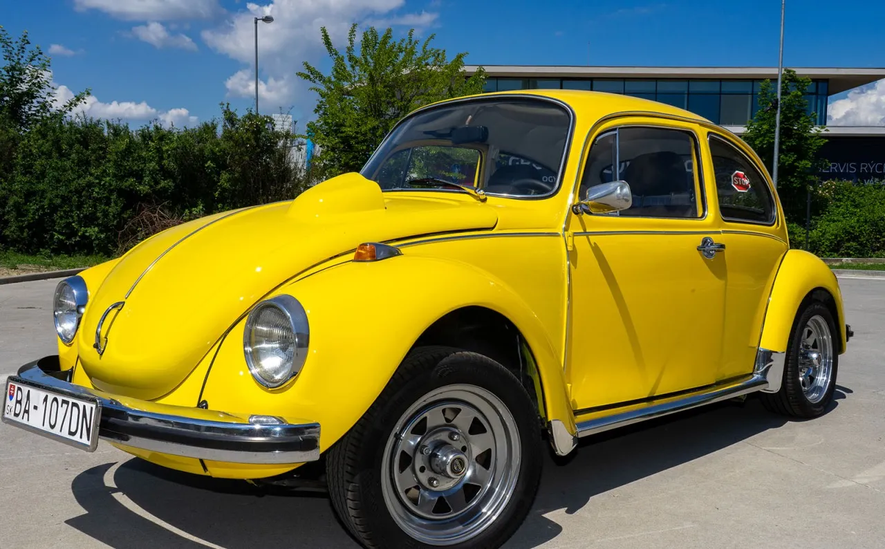 Volkswagen Brouk 1960