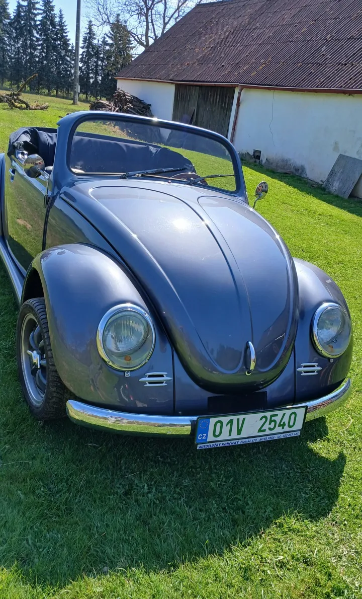 Volkswagen Brouk Speedster 1973