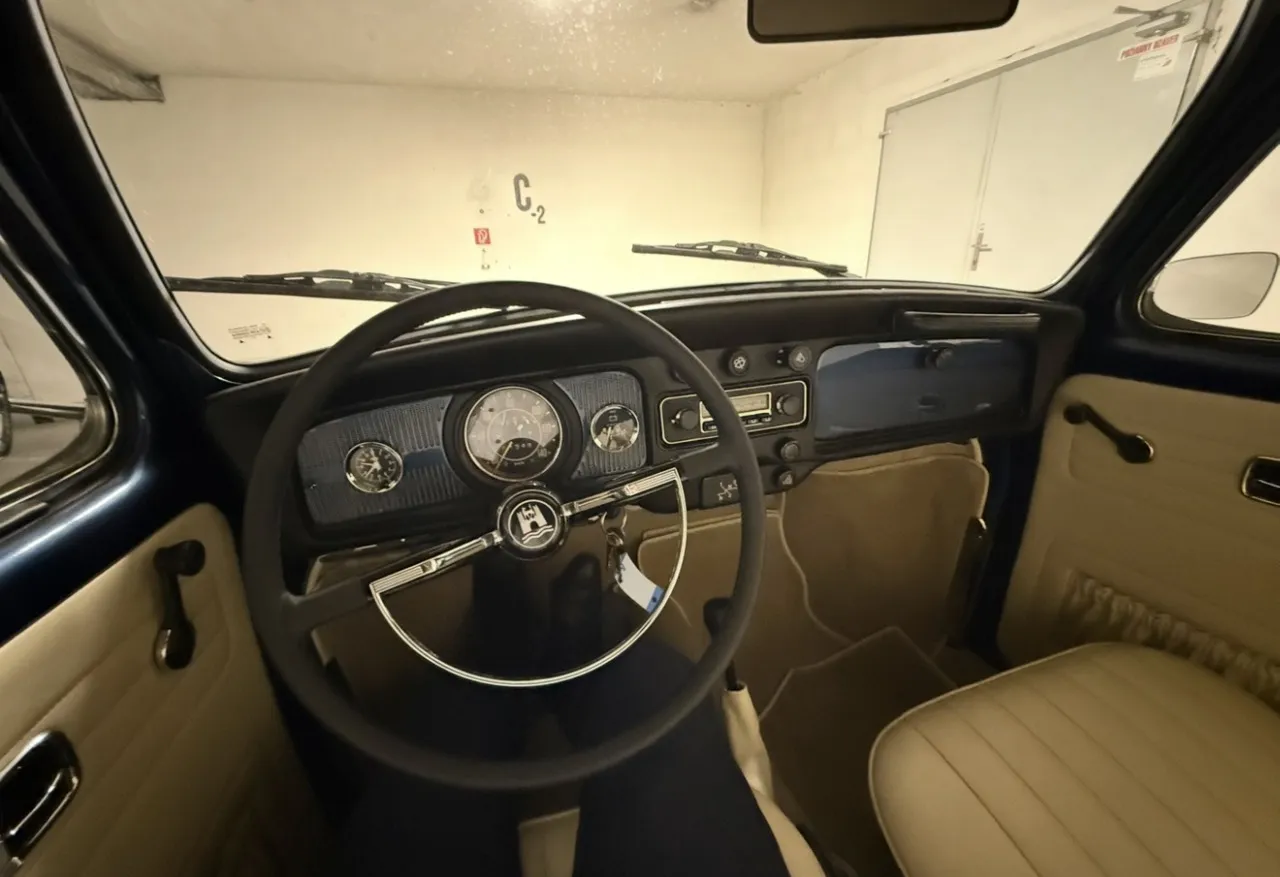 Volkswagen Brouk 113 1969