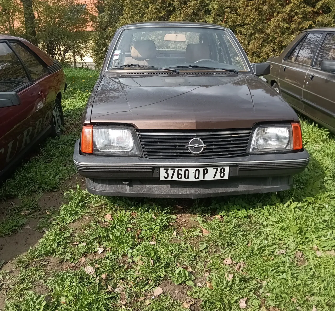 Foto 11