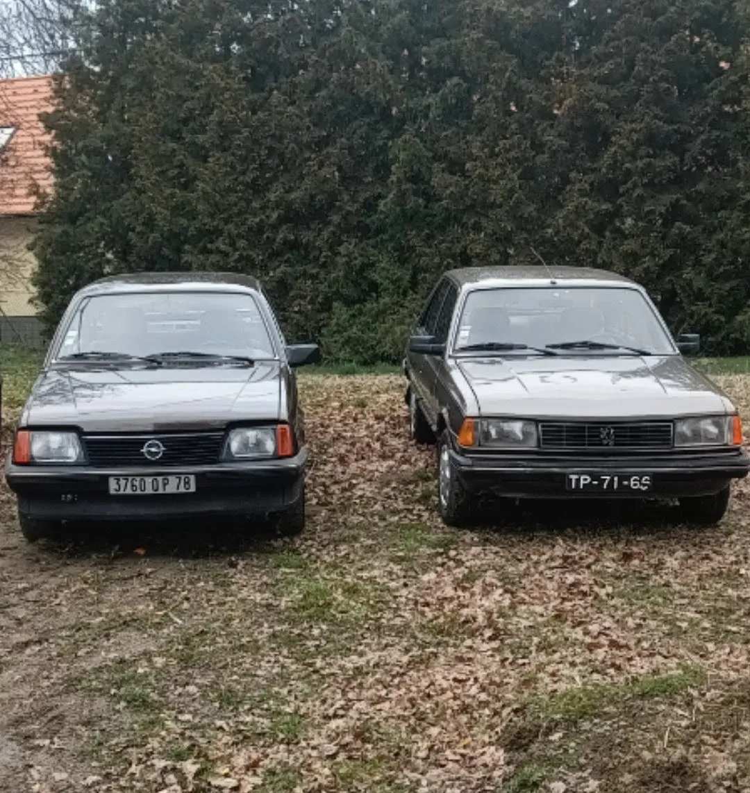 Peugeot 305 GT 1983