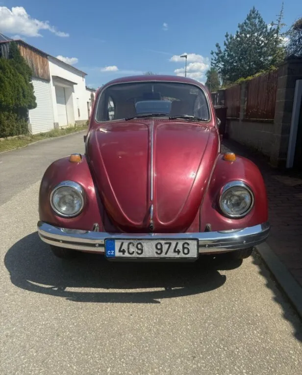 Foto 5