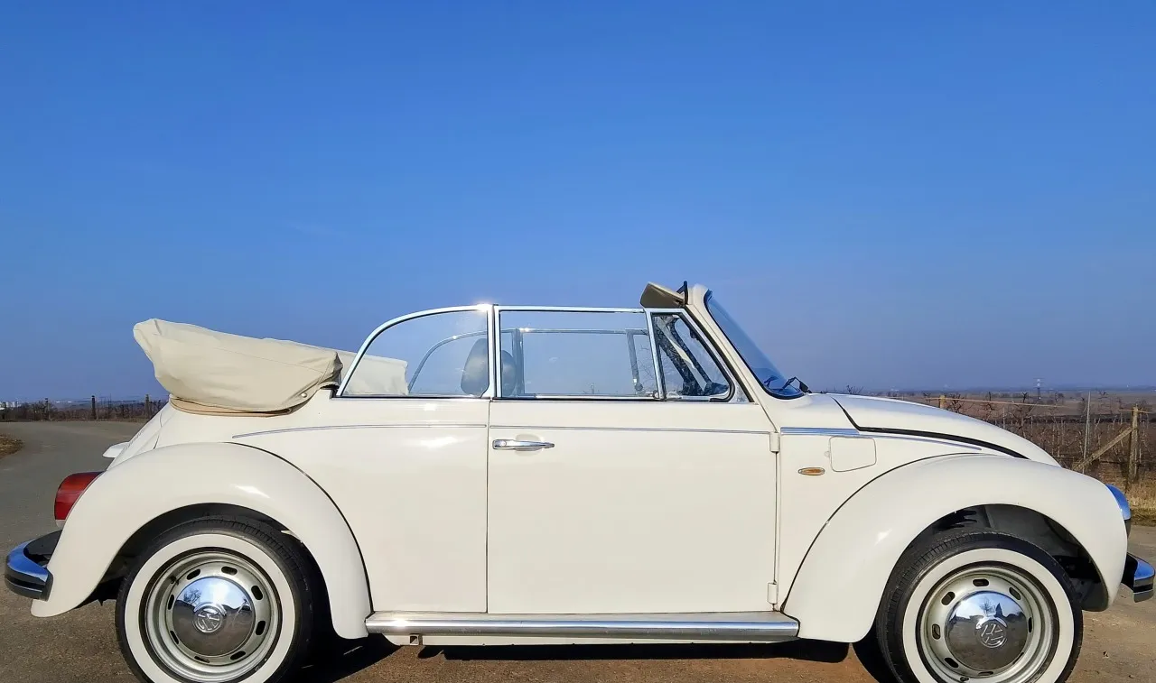 Volkswagen Brouk 1975