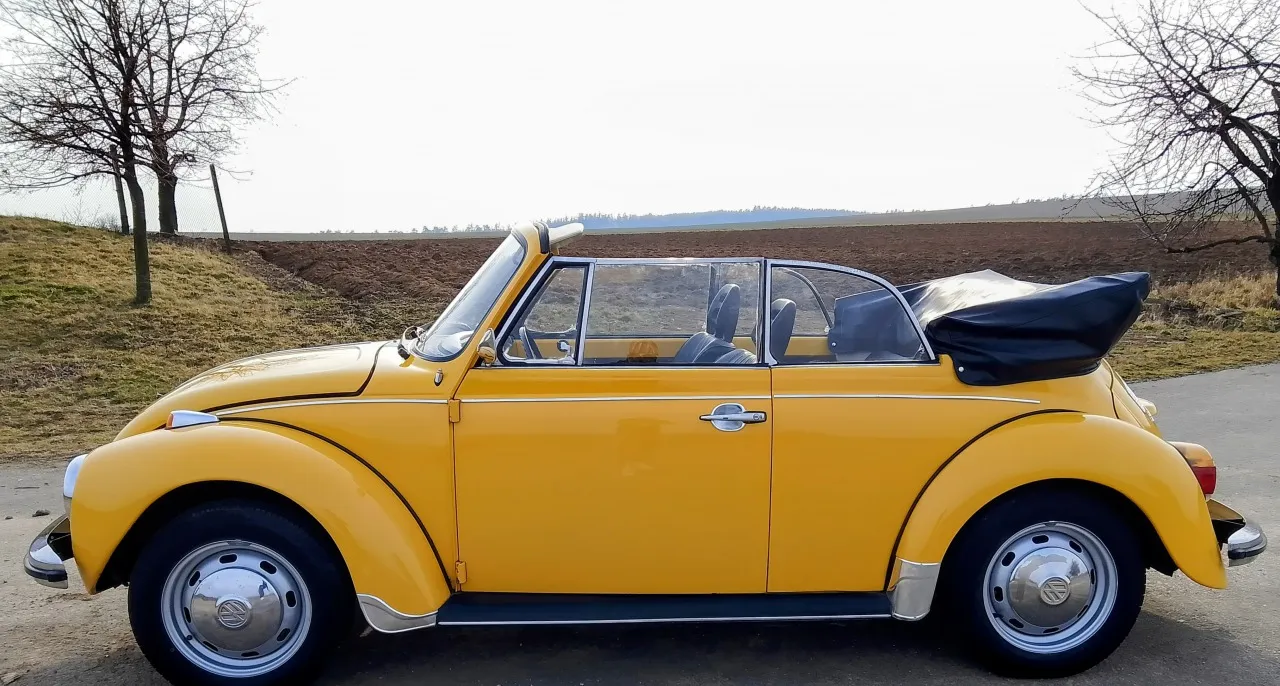 Volkswagen Brouk 1973