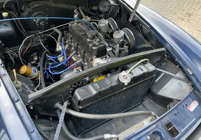 Foto 5