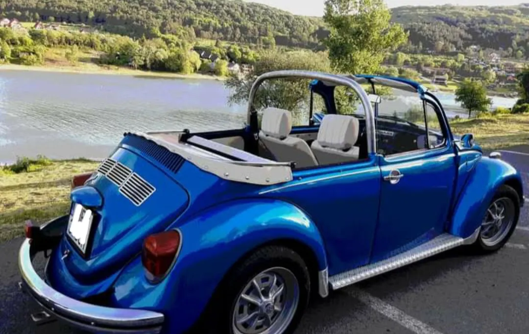 Volkswagen Brouk 1974