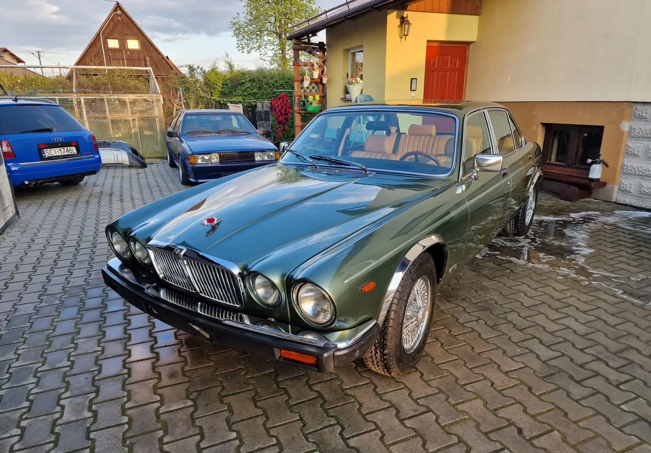 Jaguar XJ XJ12 serie 3 1981