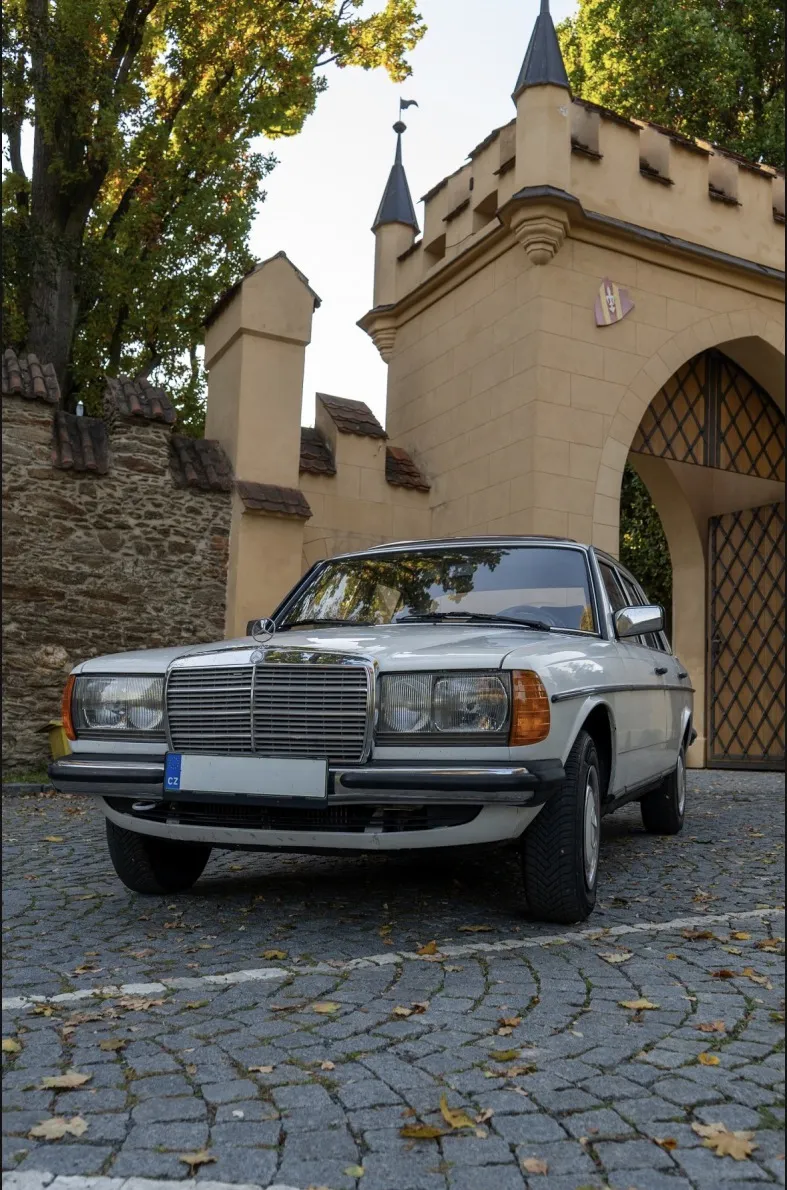 Mercedes-Benz Mercedes benz w123 200 1982