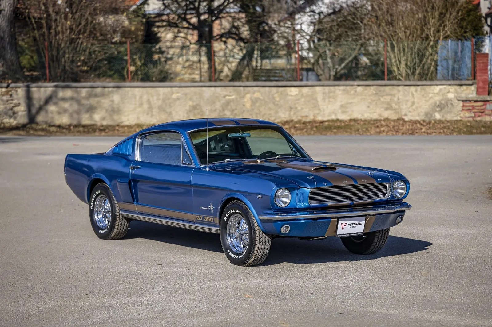 Ford Mustang Fastback