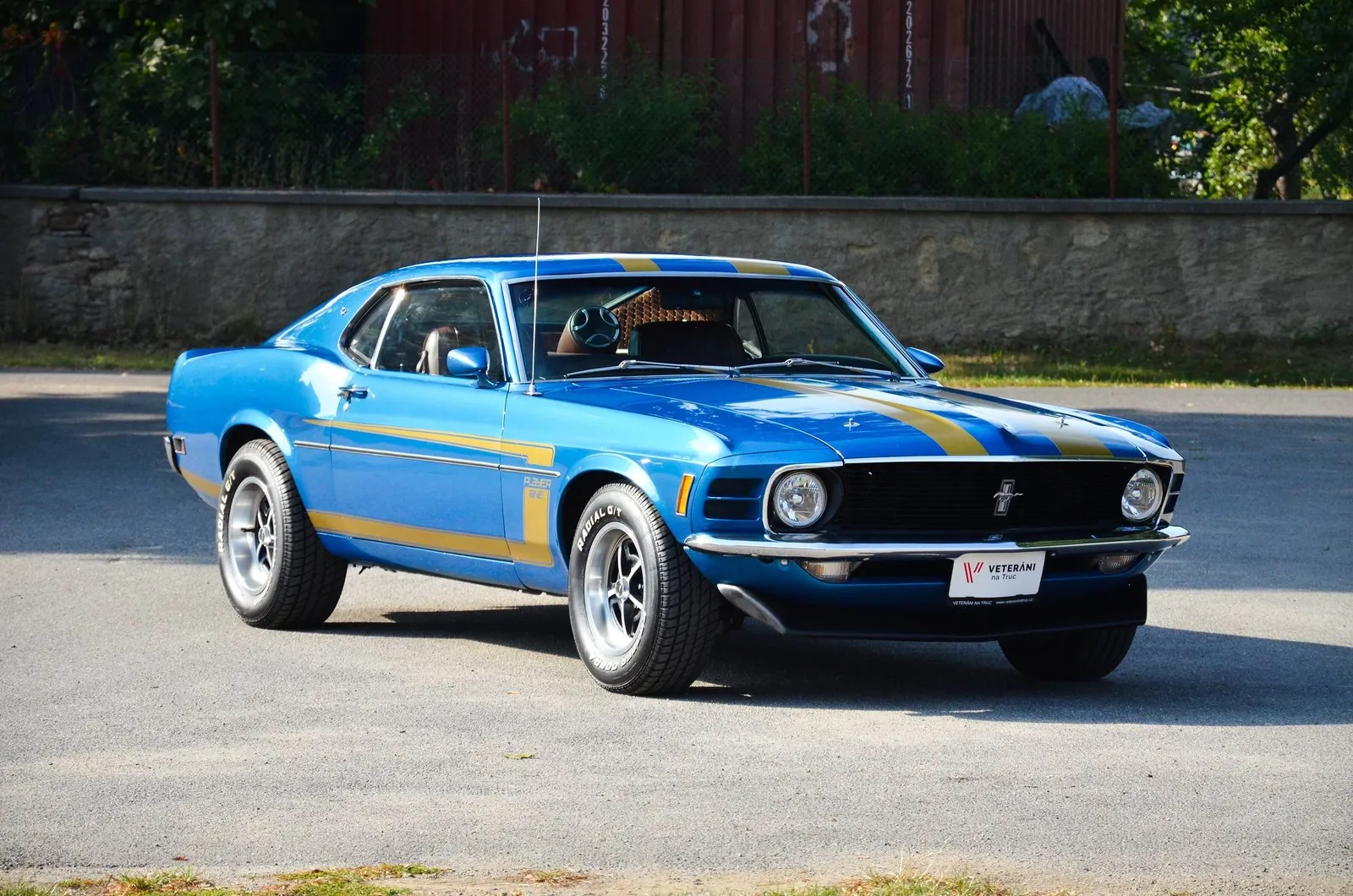 Ford Mustang Fastback