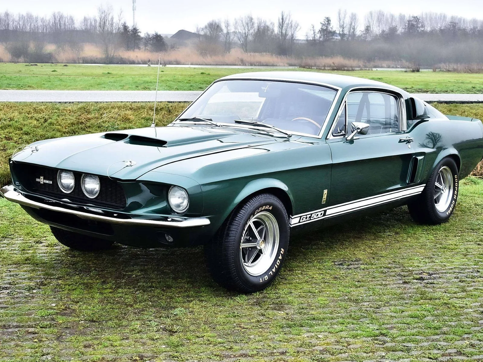 Shelby GT500 Shelby Fastback