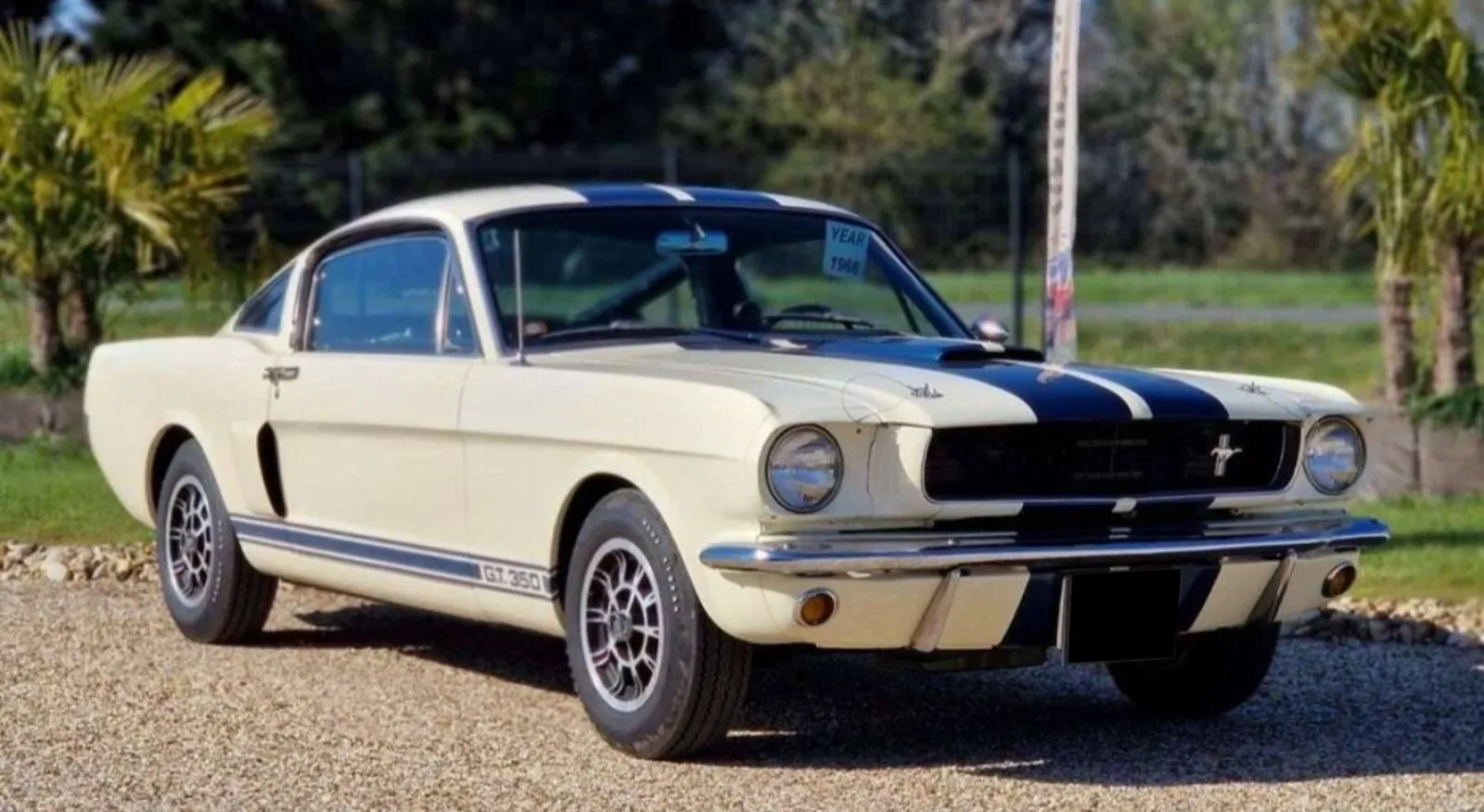 Ford Mustang GT350